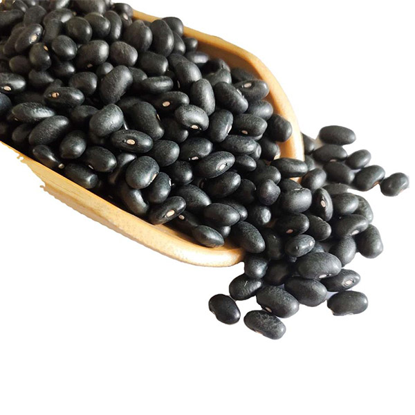 Black Kidney Beans RIZHAO HAOXIANG FOODS CO LTD Black Kidney Beans RIZHAO HAOXIANG FOODS CO LTD